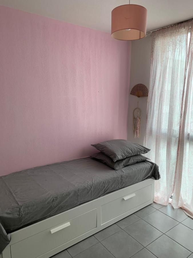 Superbe Appartement Avec Terrasse Toulouse Bagian luar foto